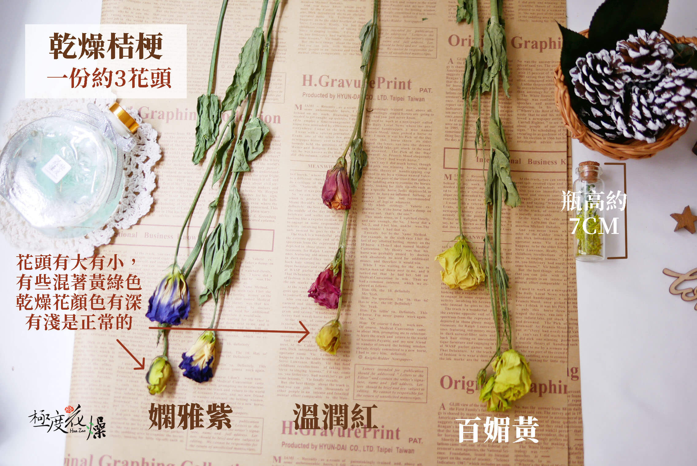 規格 _乾燥桔梗