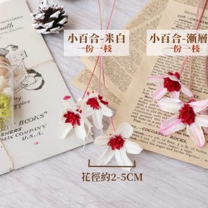規格 _小百合