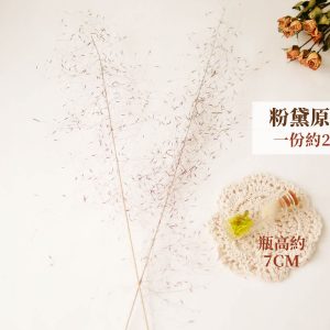 規格 _粉黛