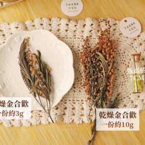 規格 _金合歡