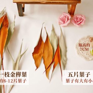 規格 _金樺葉