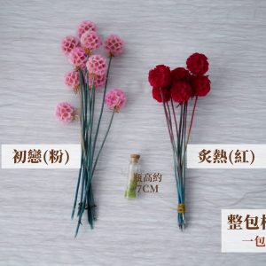 規格1_整包松蟲果 拷貝