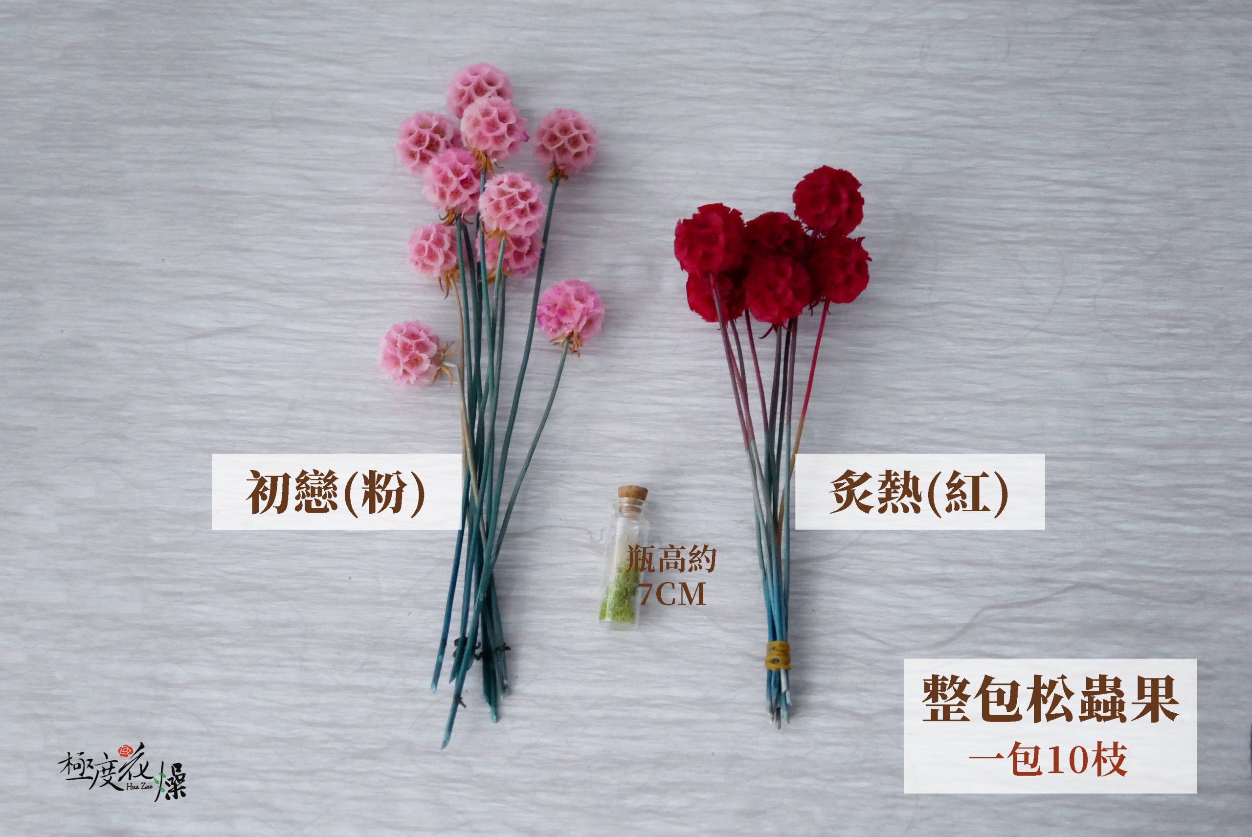 規格1_整包松蟲果 拷貝