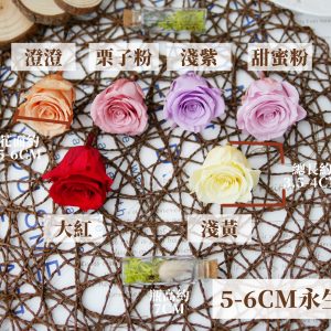規格2_05202永生玫瑰 拷貝