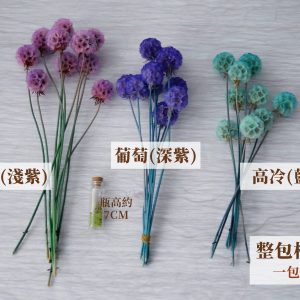 規格2_整包松蟲果 拷貝