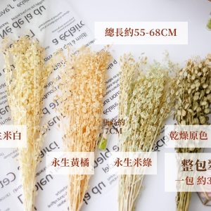 規格2_整包翠扇 拷貝