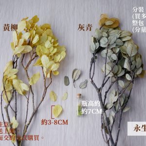 規格2_栗木葉 拷貝