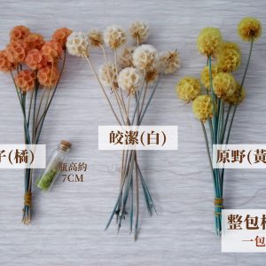 規格3_整包松蟲果 拷貝