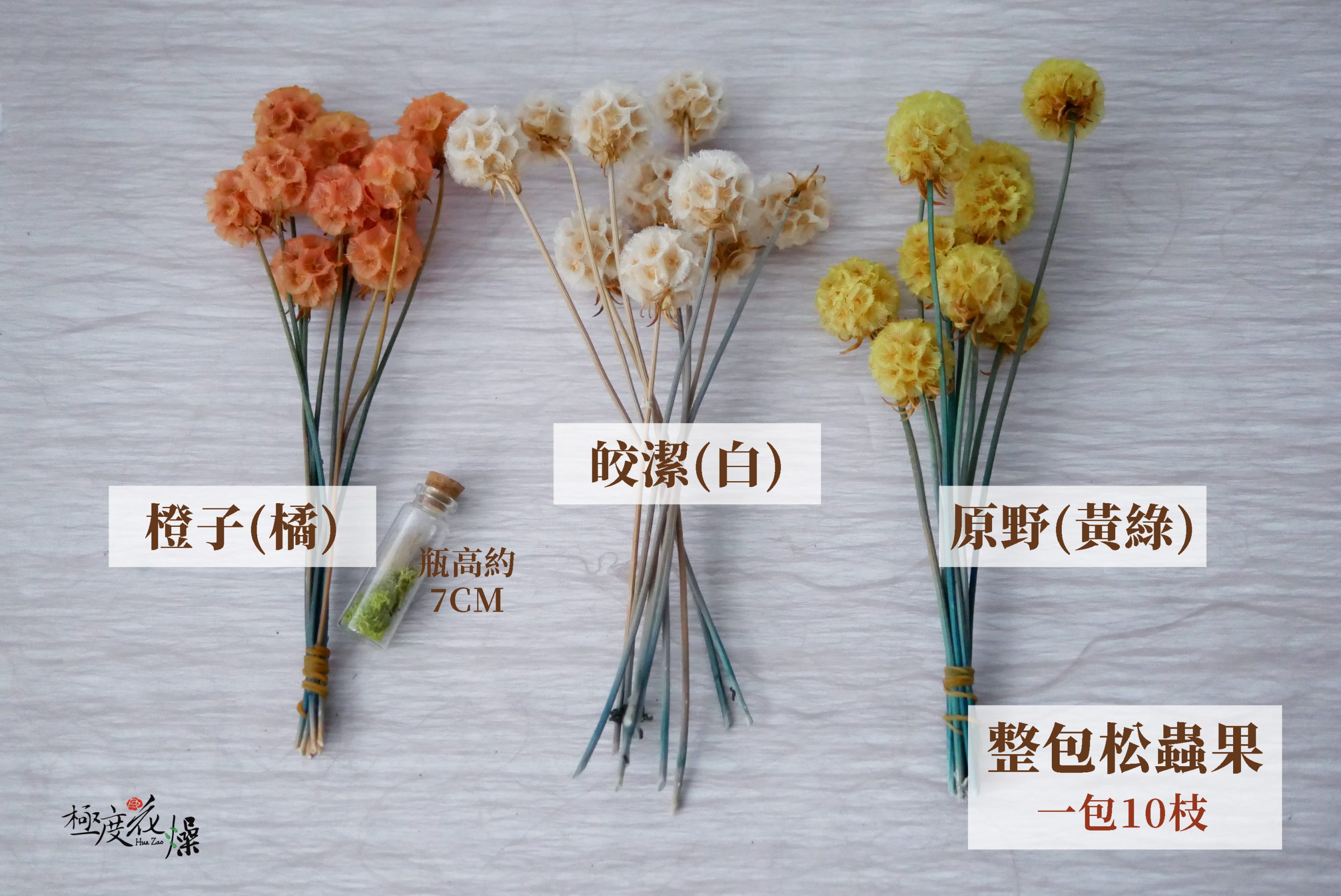 規格3_整包松蟲果 拷貝