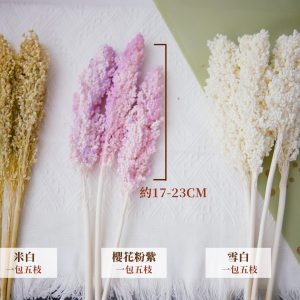 規格5支_永生高粱 拷貝