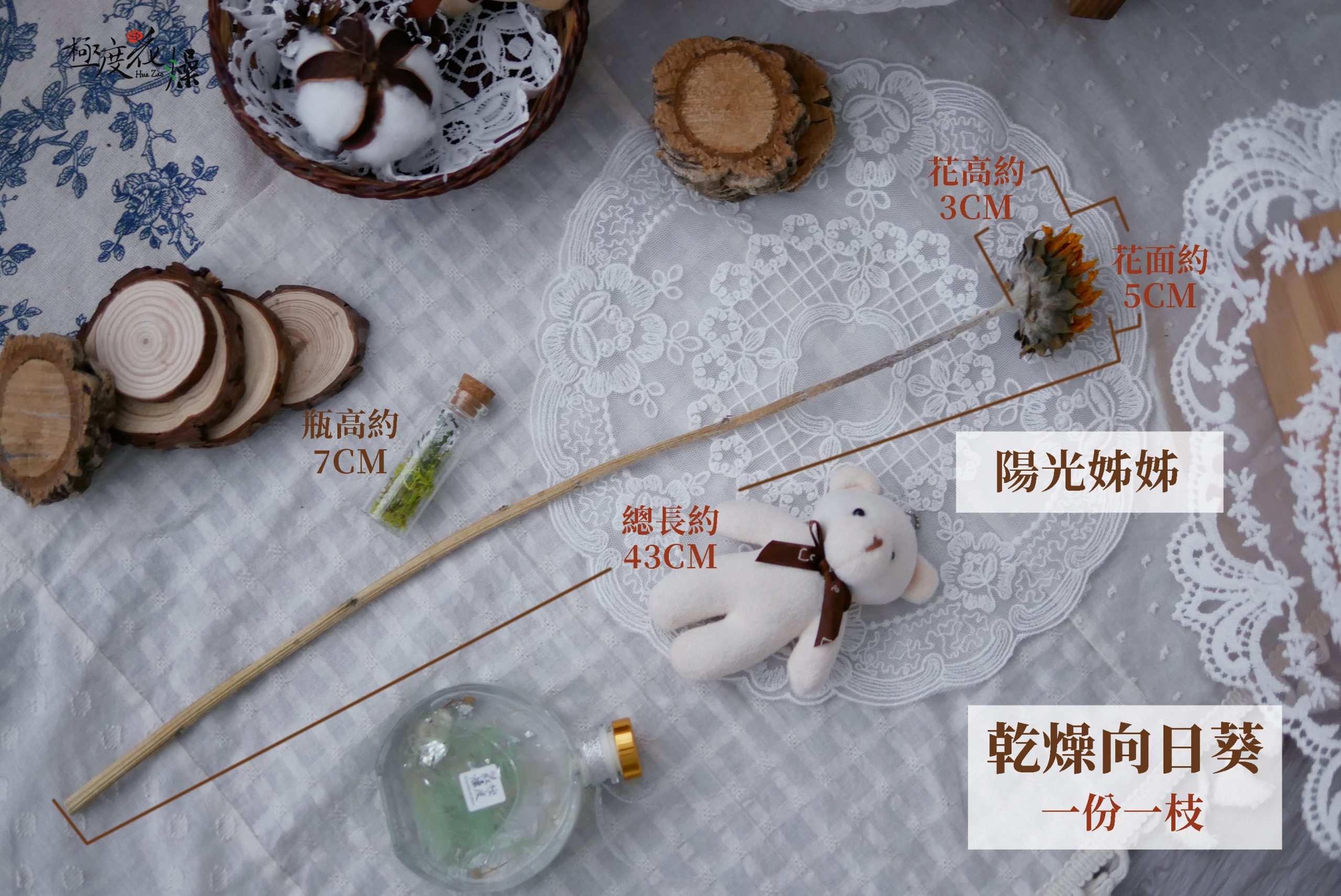 規格_乾燥向日葵 拷貝