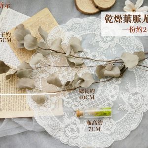 規格_乾燥大葉尤加利葉