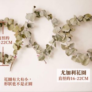 規格_乾燥尤加利花圈