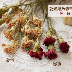 規格_乾燥康乃馨 拷貝