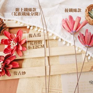 規格_令箭荷