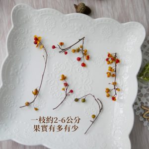 規格_南蛇藤 拷貝