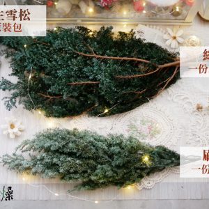 規格_原裝永生雪松 拷貝