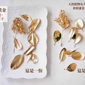 規格_垂榕果噴金 拷貝