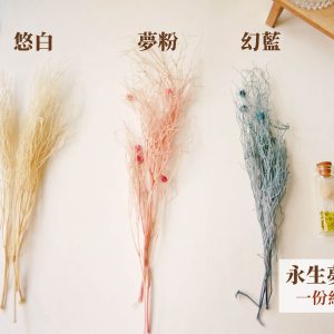 規格_夢幻草