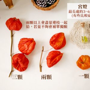 規格_宮燈 拷貝
