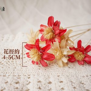 規格_小松花