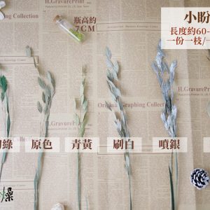 規格_小盼草 拷貝