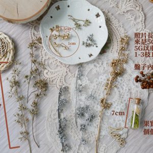規格_小米果 拷貝