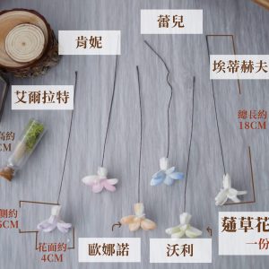 規格_小茉莉 拷貝
