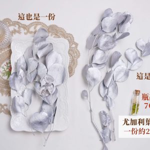 規格_尤加利葉噴銀 拷貝