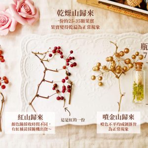 規格_山歸來 拷貝