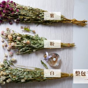 規格_整包千日紅 拷貝