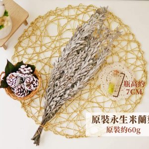 規格_整包永生米蘭葉 拷貝