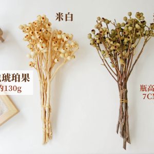 規格_整包琥珀果 拷貝