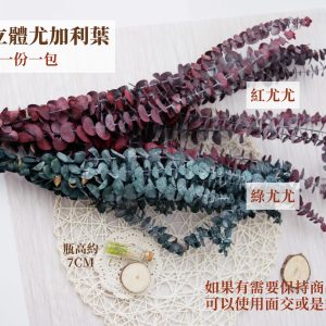 規格_整包立體尤加利葉 拷貝