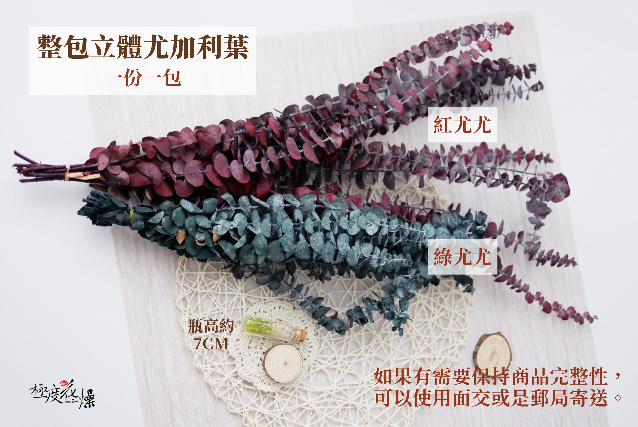 規格_整包立體尤加利葉 拷貝