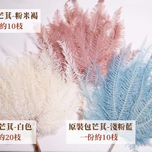 規格_整包芒萁 拷貝