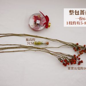 規格_整包薔薇果 拷貝