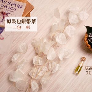 規格_整包銀幣葉 拷貝