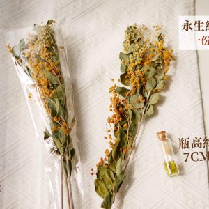規格_新款金合歡 拷貝