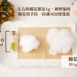規格_棉花