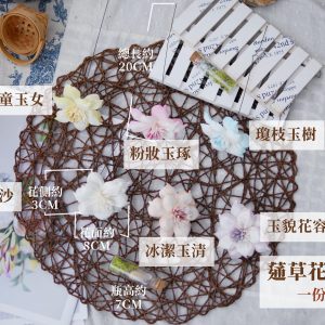 規格_水仙花 拷貝