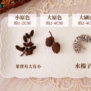 規格_水楊子 拷貝