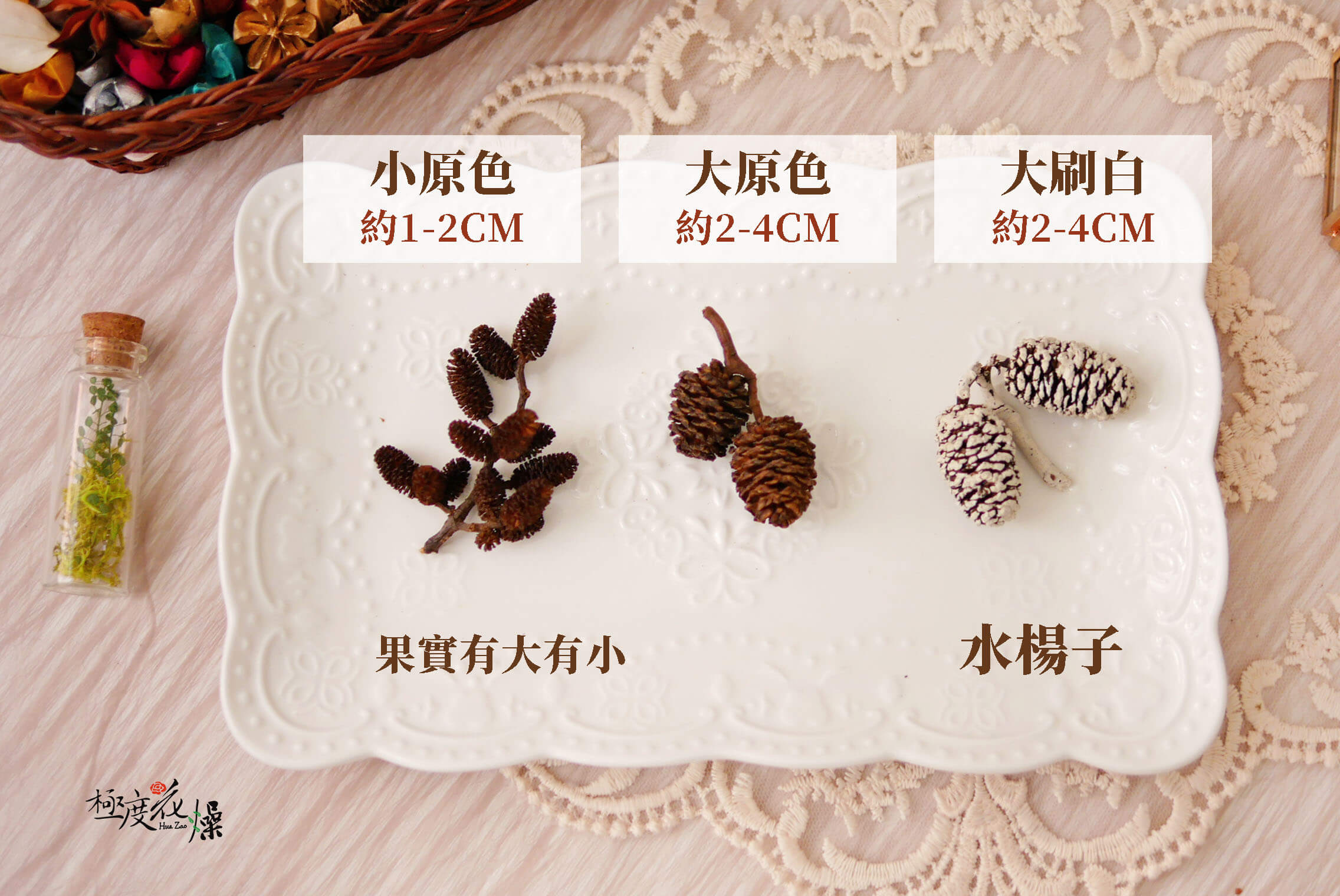 規格_水楊子 拷貝