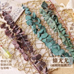 規格_永生尤加利立體 拷貝