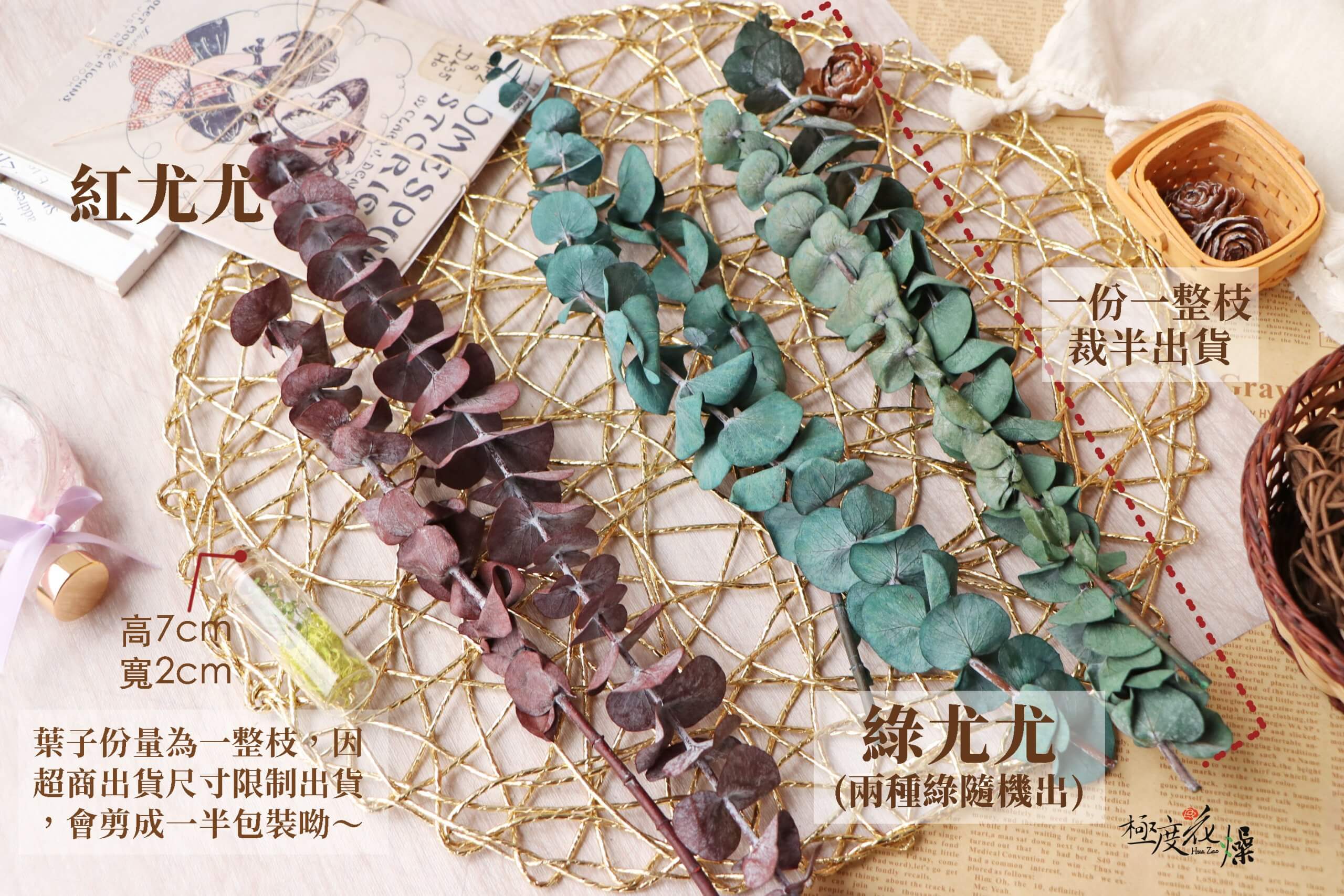 規格_永生尤加利立體 拷貝