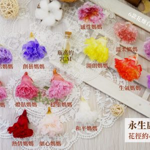 規格_永生康乃馨 拷貝