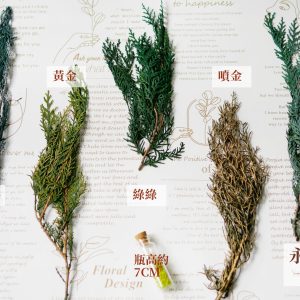 規格_永生扁柏 拷貝