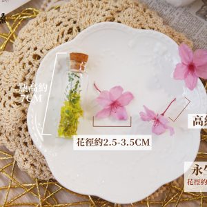 規格_永生櫻花 拷貝