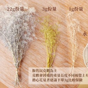 規格_永生滿天星 拷貝