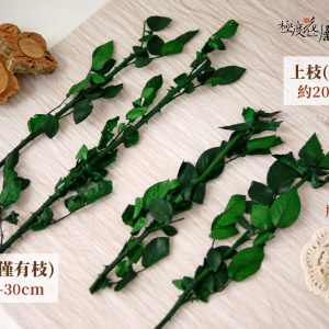 規格_永生玫瑰莖 拷貝